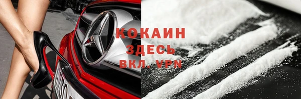 индика Новозыбков