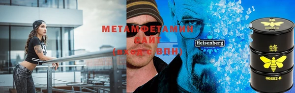 индика Новозыбков