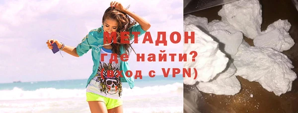 индика Новозыбков