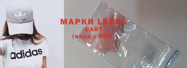 индика Новозыбков