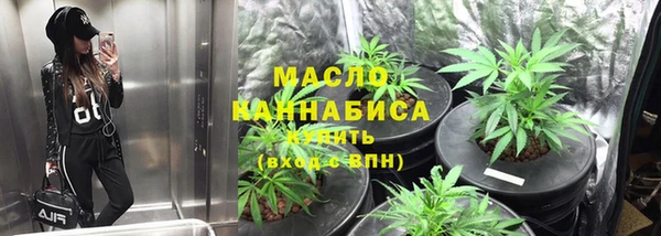 индика Новозыбков