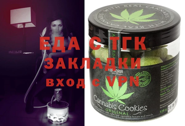 индика Новозыбков