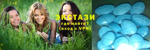 индика Новозыбков
