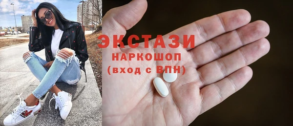 индика Новозыбков