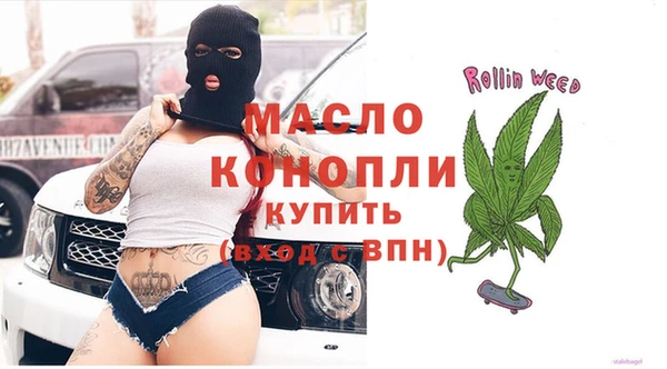 индика Новозыбков