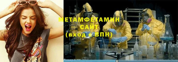 индика Новозыбков