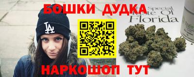 крисы Абакан