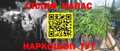 крисы Абакан