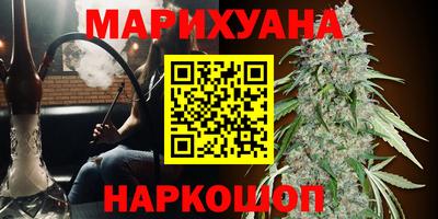 крисы Абакан