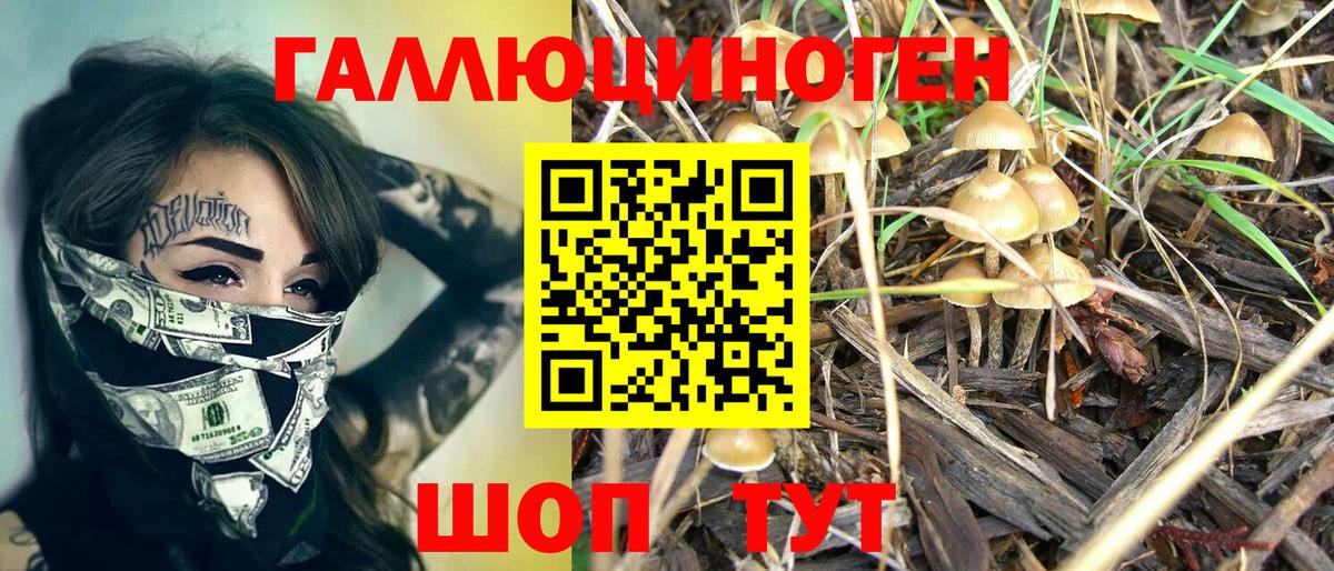 Галлюциногенные грибы мицелий Азнакаево