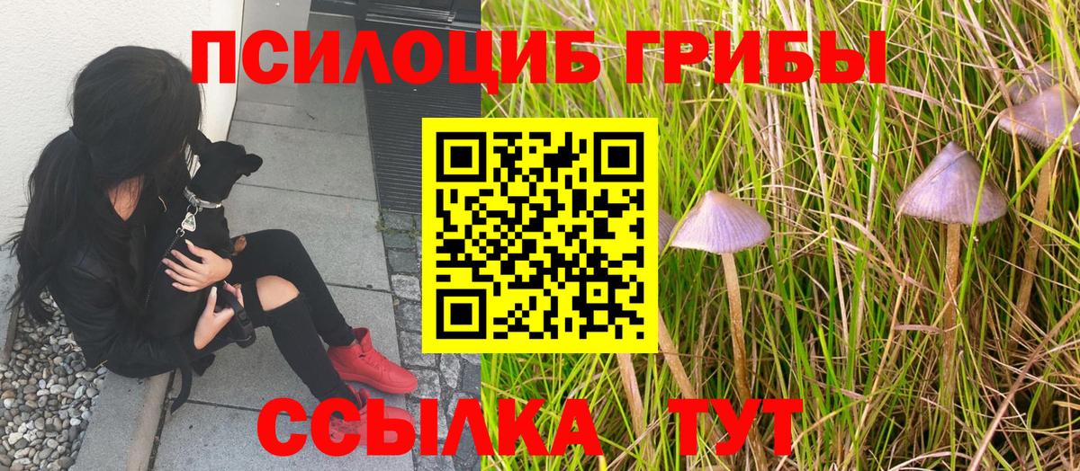 Галлюциногенные грибы Magic Shrooms Азнакаево